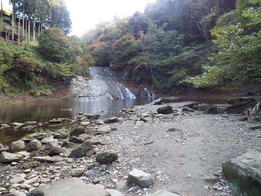 e0145782_1540391.jpg