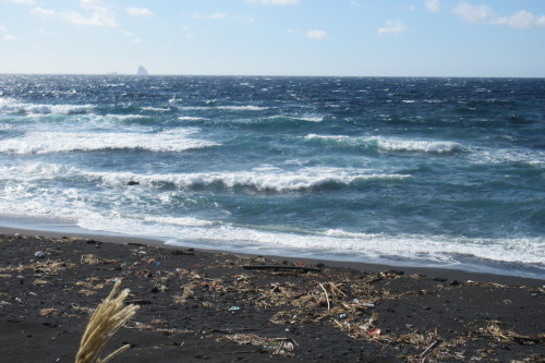 c0204385_22524742.jpg