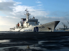 b0192588_8535021.jpg