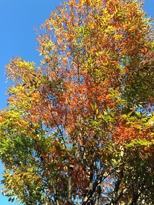 e0271890_22364060.jpg