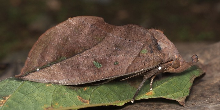 b0194593_55146.jpg