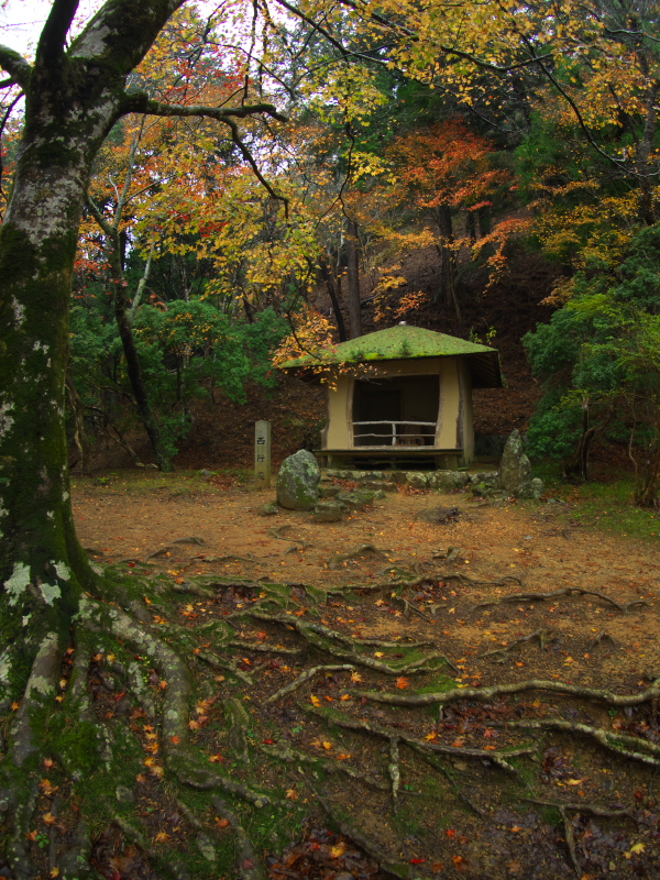 c0043403_20112189.jpg