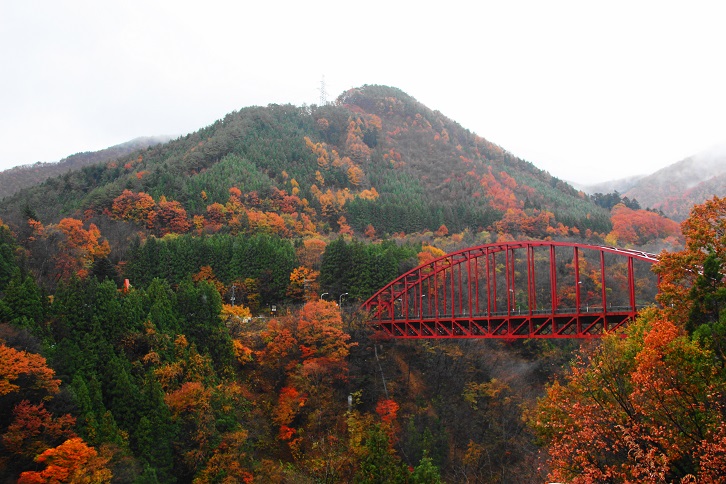 e0123808_1233022.jpg