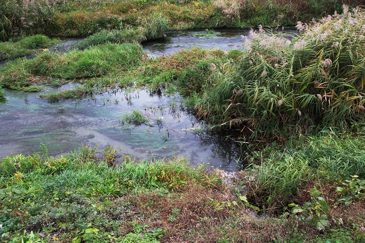 e0123808_1294018.jpg