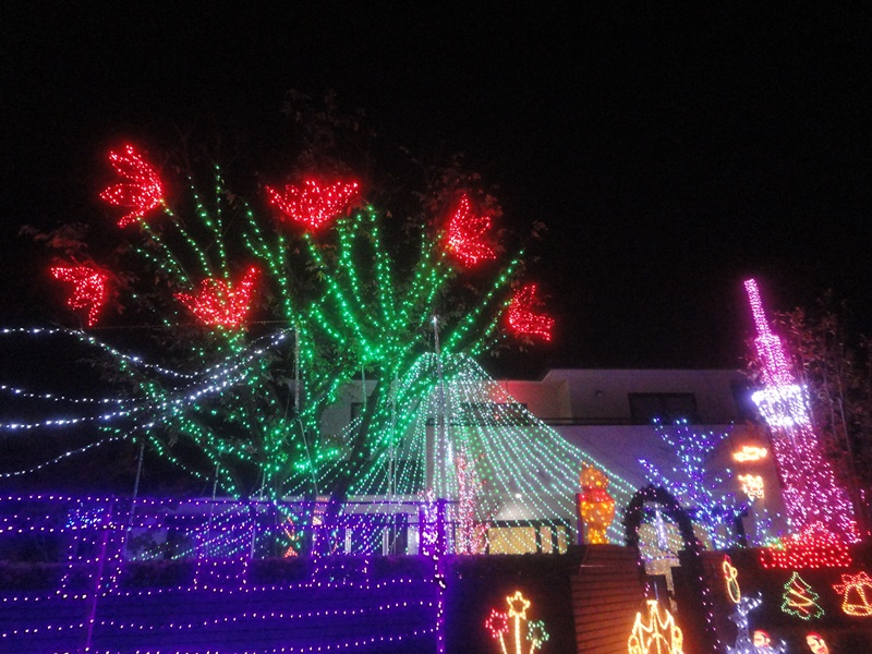 f0231709_114175.jpg