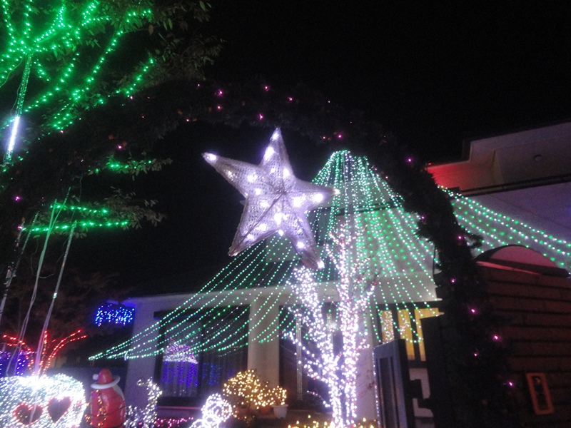 f0231709_124170.jpg