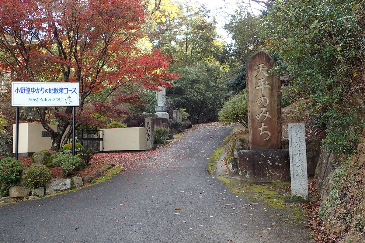 c0064025_1934427.jpg