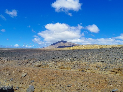 b0312126_00341530.jpg