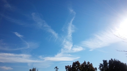 c0173826_21494926.jpg