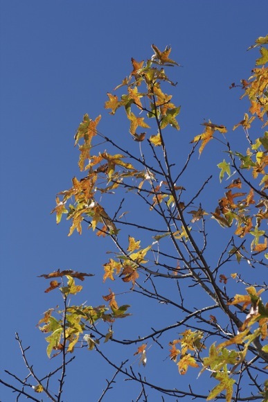 e0021328_00515532.jpg