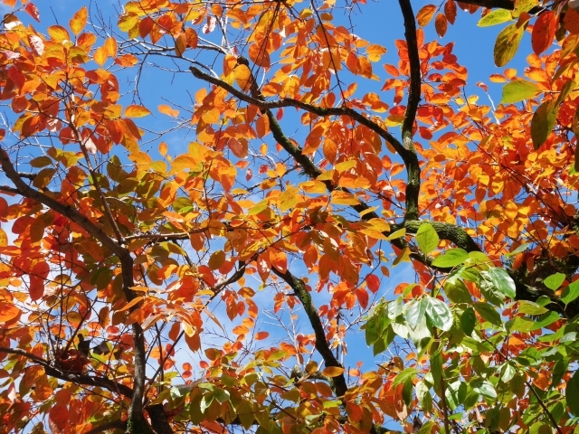 f0231829_19020817.jpg