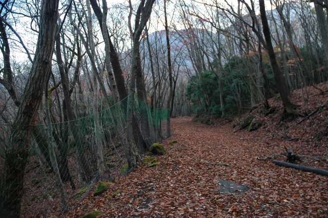 e0272335_17395938.jpg
