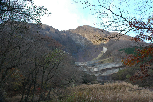 e0272335_17502345.jpg