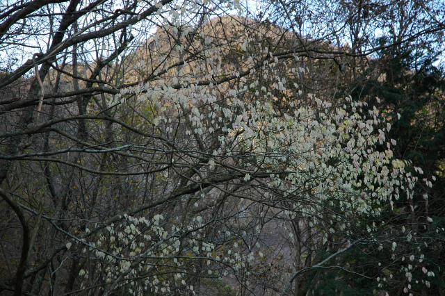 e0272335_17515095.jpg