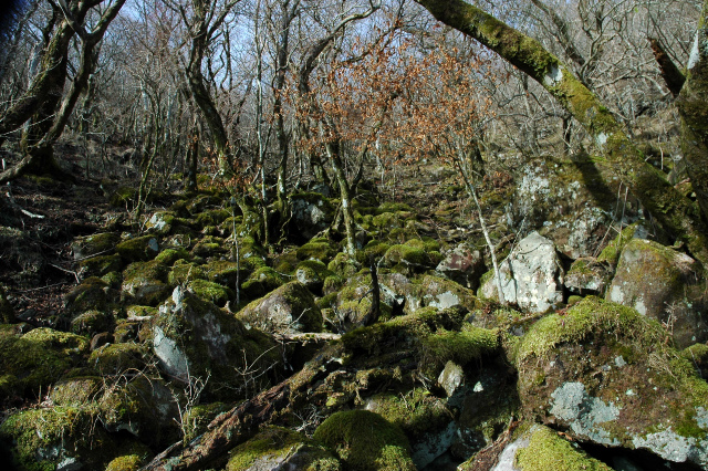 e0272335_18134798.jpg