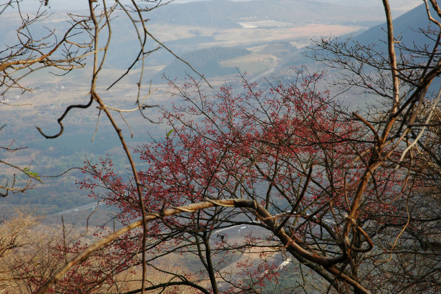 e0272335_18634100.jpg