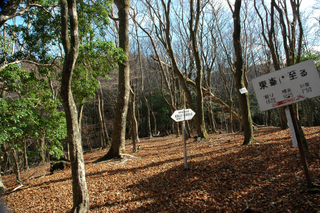 e0272335_20172759.jpg
