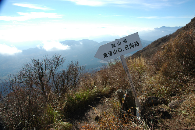 e0272335_2071290.jpg