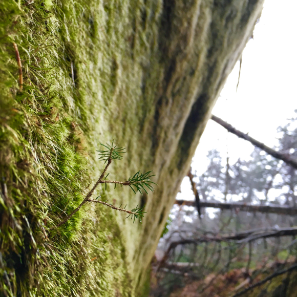 b0260738_12124764.jpg