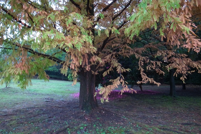 e0009147_19391148.jpg