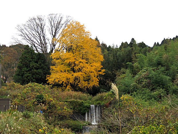 f0214649_5355056.jpg