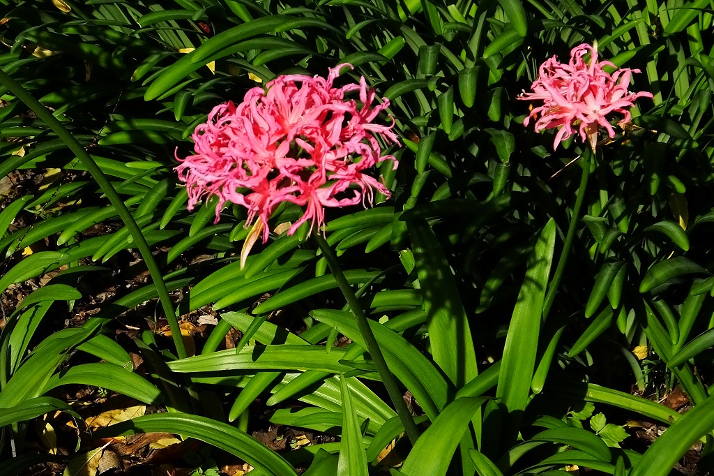 b0236251_1211449.jpg