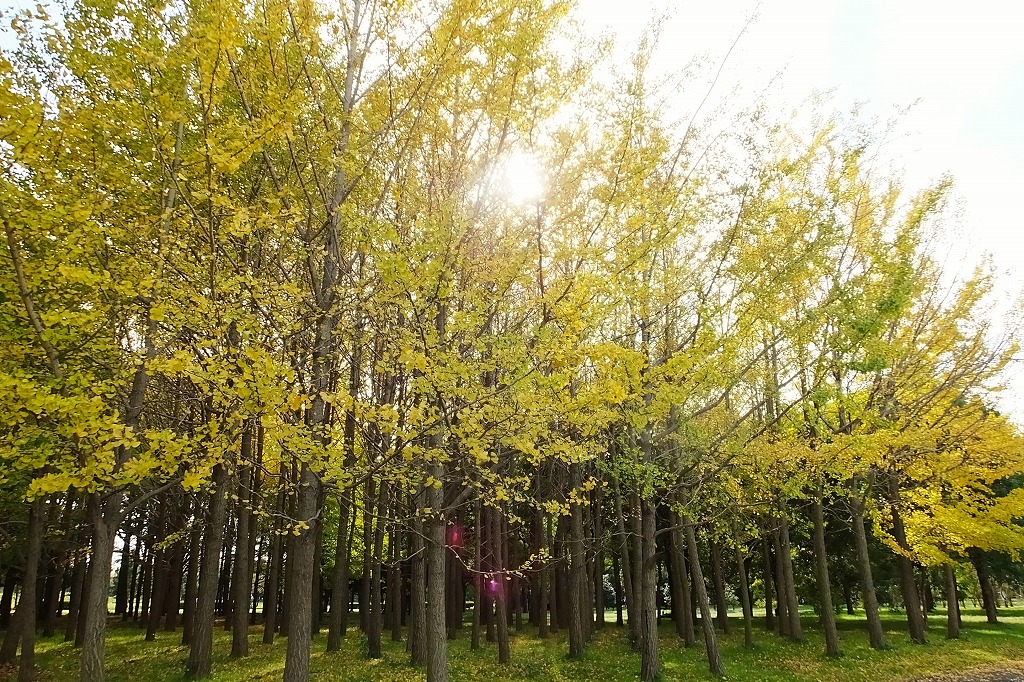 b0236251_12141591.jpg