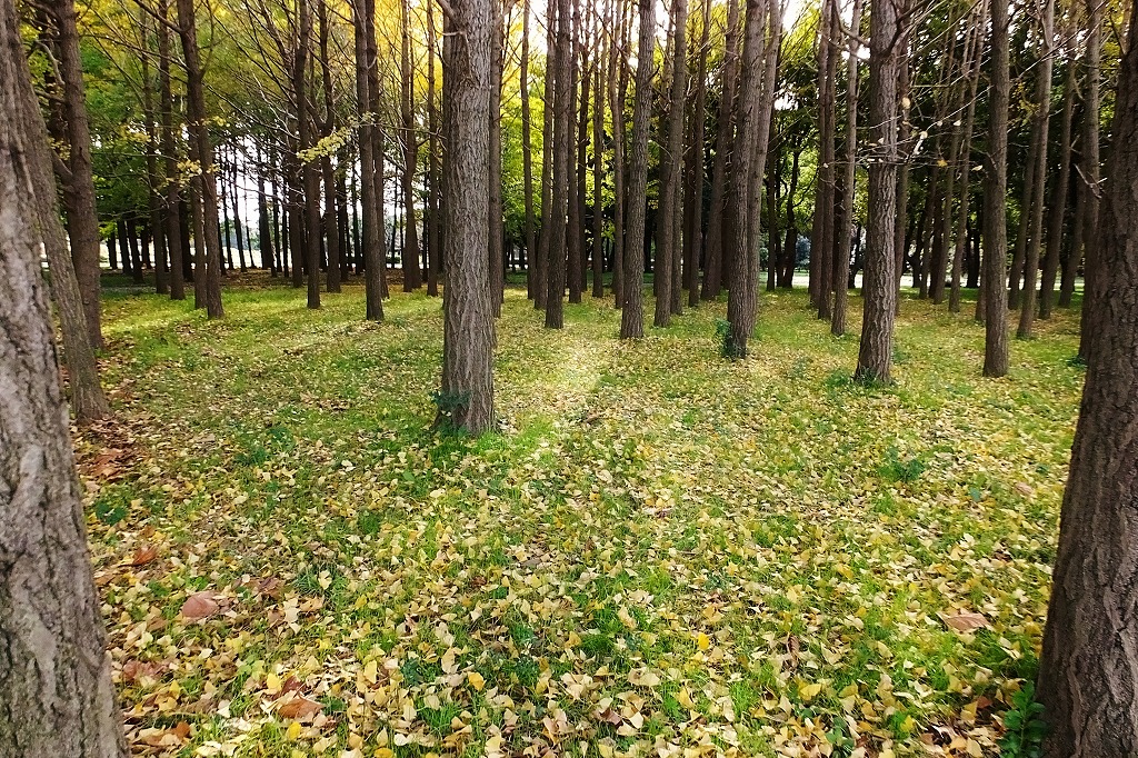 b0236251_12142177.jpg