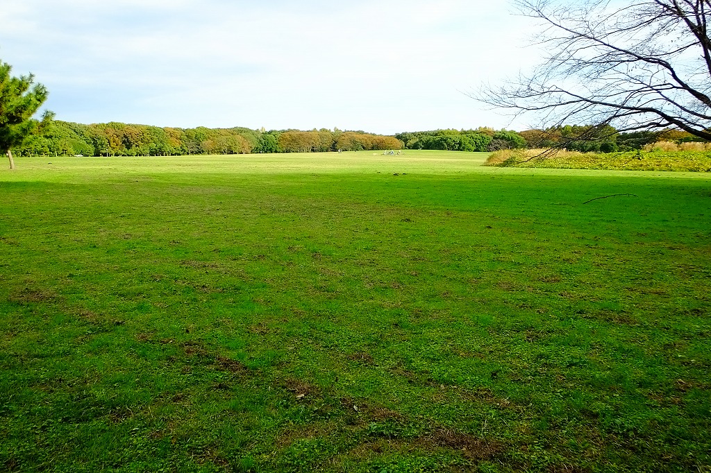 b0236251_1232374.jpg