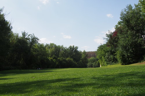 c0351060_02291949.jpg