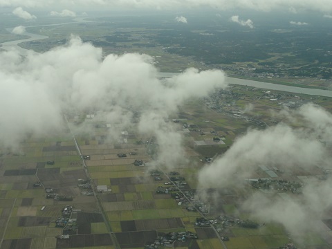 d0029363_2102526.jpg