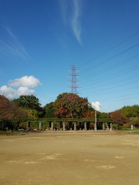 e0342965_9134476.jpg