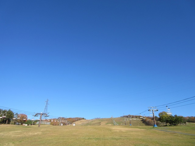 f0100871_14105527.jpg