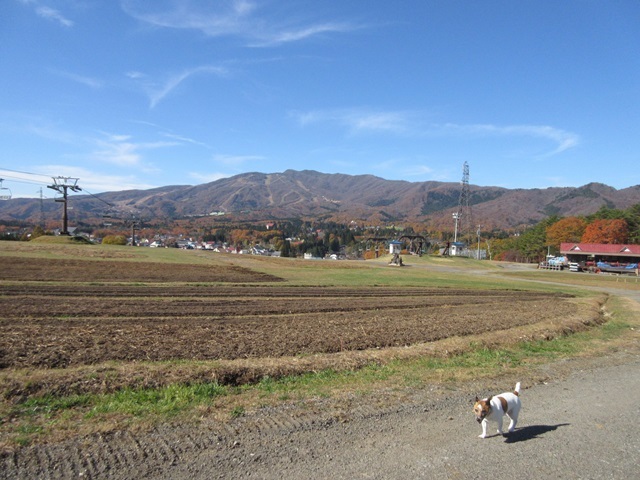 f0100871_14361599.jpg