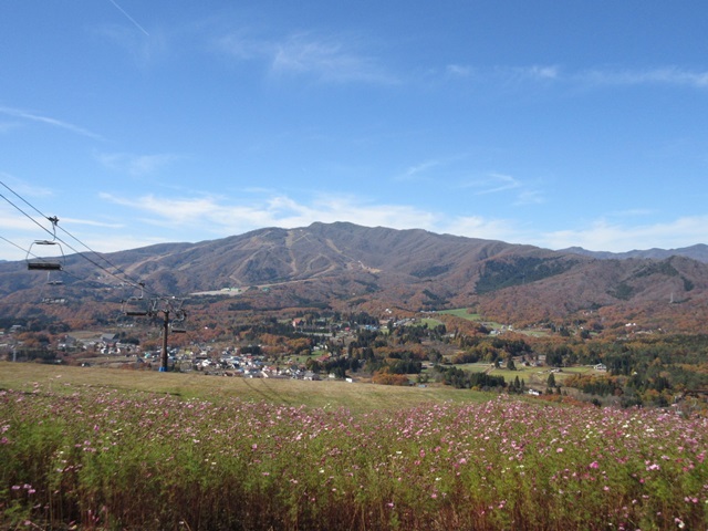 f0100871_14370749.jpg