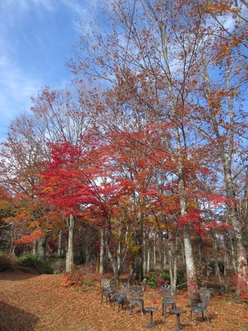 f0100871_14375888.jpg
