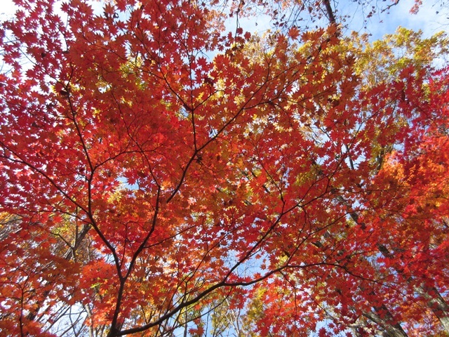 f0100871_14381535.jpg