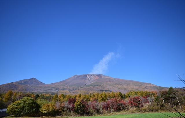 f0342371_2114440.jpg