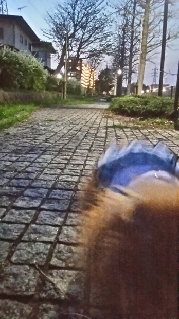 d0177473_09340123.jpg