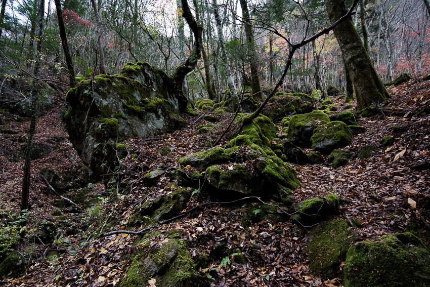 a0301676_17471428.jpg
