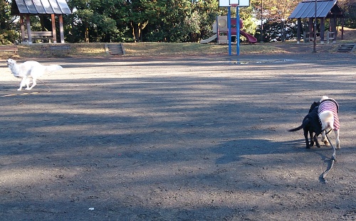 b0136381_13515718.jpg