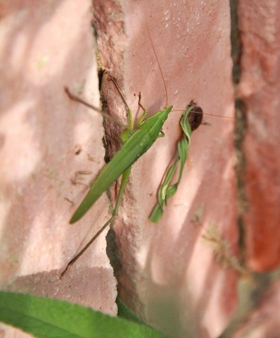 e0154682_22544401.jpg