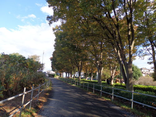 b0334084_20164320.jpg