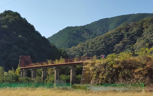 a0143296_7375643.jpg