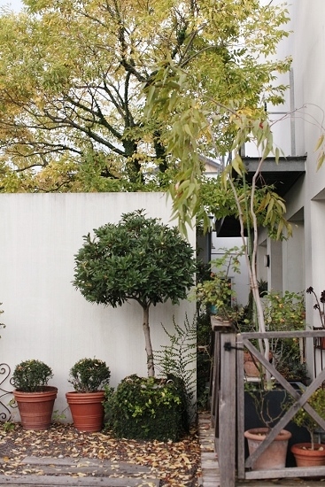e0209997_2341226.jpg