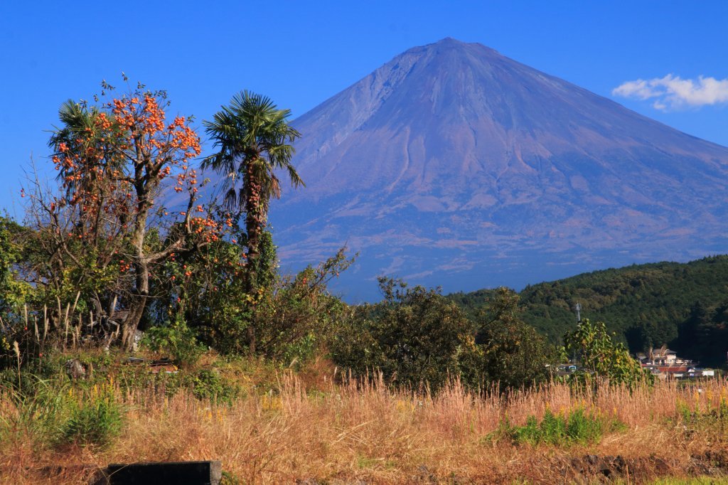a0188405_15494398.jpg