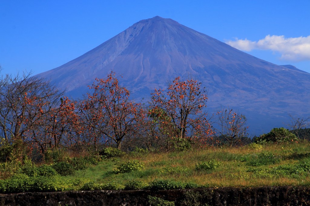 a0188405_15495153.jpg