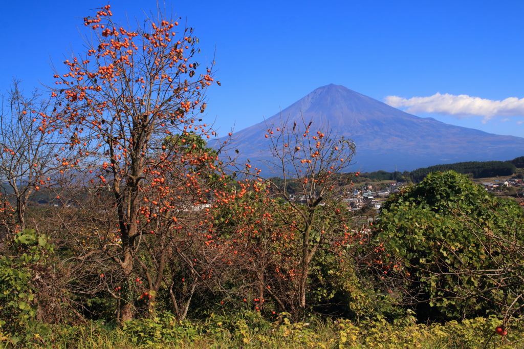 a0188405_15500707.jpg