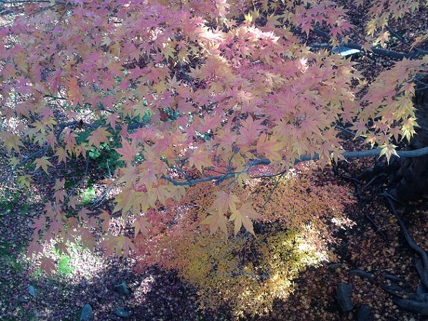 a0337807_18510509.jpg