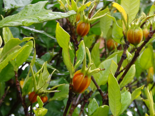f0231709_20515953.jpg